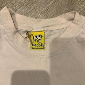 Big Dogs Men's multi T-shirt